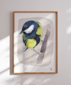 Quadro Pássaro Chapim-Azul na internet