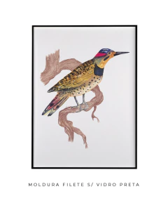 Imagem do Quadro Pássaro na Árvore I