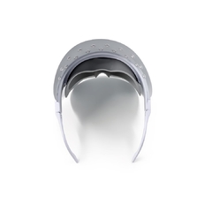 Led Mask en internet