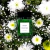 PERFUME LIMA SICILIANA Y BAMBOO 100 ML en internet