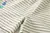 Conjunto dinossauros Menino - loja online
