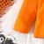 Conjunto de Halloween Menina na internet