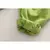 Conjunto de inverno dinossauro Menino na internet