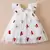 Vestido de Cereja Menina