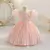 Vestido de princesa bordado Menina na internet