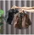 Colete Pu e camisa Menino - comprar online