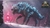 Fenrir - Nv 300 / 130% Imprint