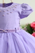 Vestido Infantil Lilás Encanto Princesa Daminha Sofia Festa - loja online