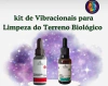 Kit Desparasitação e Detox 30 ml