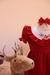 vestido flores de NATAL - Linha Lina Baby