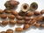 Colar de Coco Licuri 5 Unidades