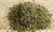 Orégano 100g