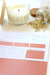 Planner diário - comprar online