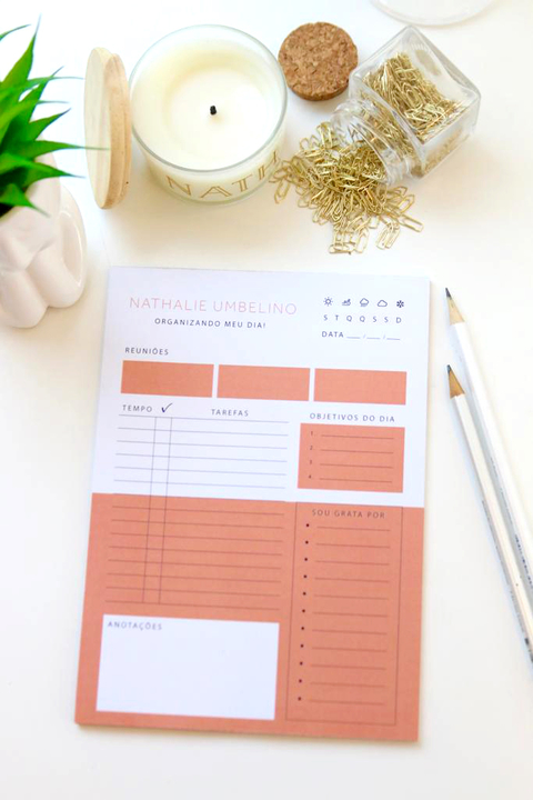 Planner diário