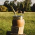 Mate Torpedo con base en internet