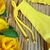 Calcinha Biquíni Fio Duplo Amarelo - comprar online