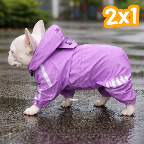 Piloto - Impermeable