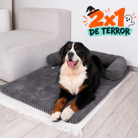 Cama Ortopedica - Sofa Cama
