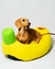 BANANA en internet