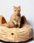 GATITO - tienda online