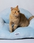 MINI SOFA - tienda online