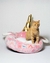 UNICORNIO en internet