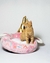 Imagen de UNICORNIO