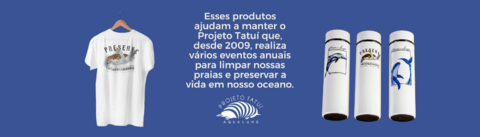 Carrossel 1