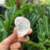 QUARTZO CRISTAL - comprar online