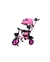 TRICICLO INFANTIL COM EMPURRADOR E CAPOTA BABY STYLE VELOX - comprar online