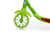 PATINETE ROBOT CAR VERDE - loja online