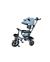 TRICICLO INFANTIL COM EMPURRADOR E CAPOTA BABY STYLE VELOX na internet