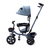 TRICICLO INFANTIL COM EMPURRADOR E CAPOTA BABY STYLE VELOX