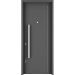 Seguridad 5500 E - comprar online
