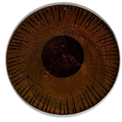 Lente de Contacto Protésico Pupila Negra - Efecto Natural para Trauma Ocular | 1 Año de Duración - comprar en línea