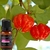 Óleo Essencial Ambiente 100% Puro Aromaterapia Feitiços 17ml - loja online