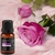 Óleo Essencial Ambiente 100% Puro Aromaterapia Feitiços 17ml - comprar online