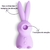 Vibrador Magic Rabbit Ingrid Guimarães 3 em 1 Feminino na internet
