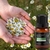 Óleo Essencial Ambiente 100% Puro Aromaterapia Feitiços 17ml - comprar online