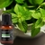 Óleo Essencial Ambiente 100% Puro Aromaterapia Feitiços 17ml - comprar online