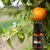Óleo Essencial Ambiente 100% Puro Aromaterapia Feitiços 17ml - loja online