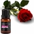 Óleo Essencial Ambiente 100% Puro Aromaterapia Feitiços 17ml - loja online