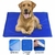 Tapete Gelado para Pet - P - comprar online