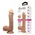 PENIS REALISTICO COM ESCROTO E VENTOSA BEAUTIFUL JOHNSON