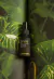 Spray de Ambiente Pré-Sono - Noomana