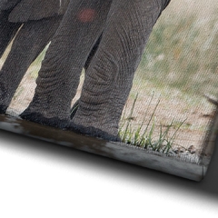 Quadro Decorativo Elefante de Seu Filhote - comprar online