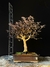 Loropetalum rubrum - comprar online