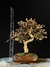 Loropetalum rubrum - comprar online