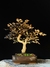 Loropetalum rubrum na internet