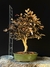 Loropetalum rubrum - comprar online